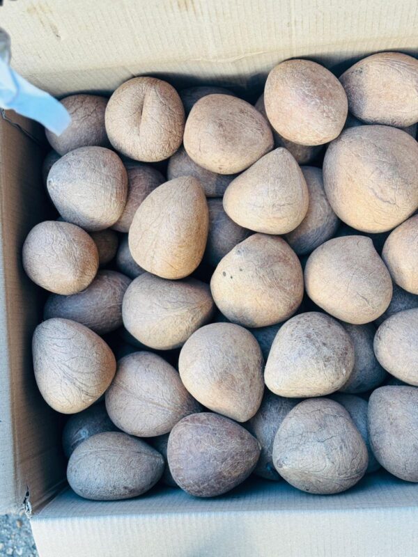 Bal Copra/Dry coconut loose